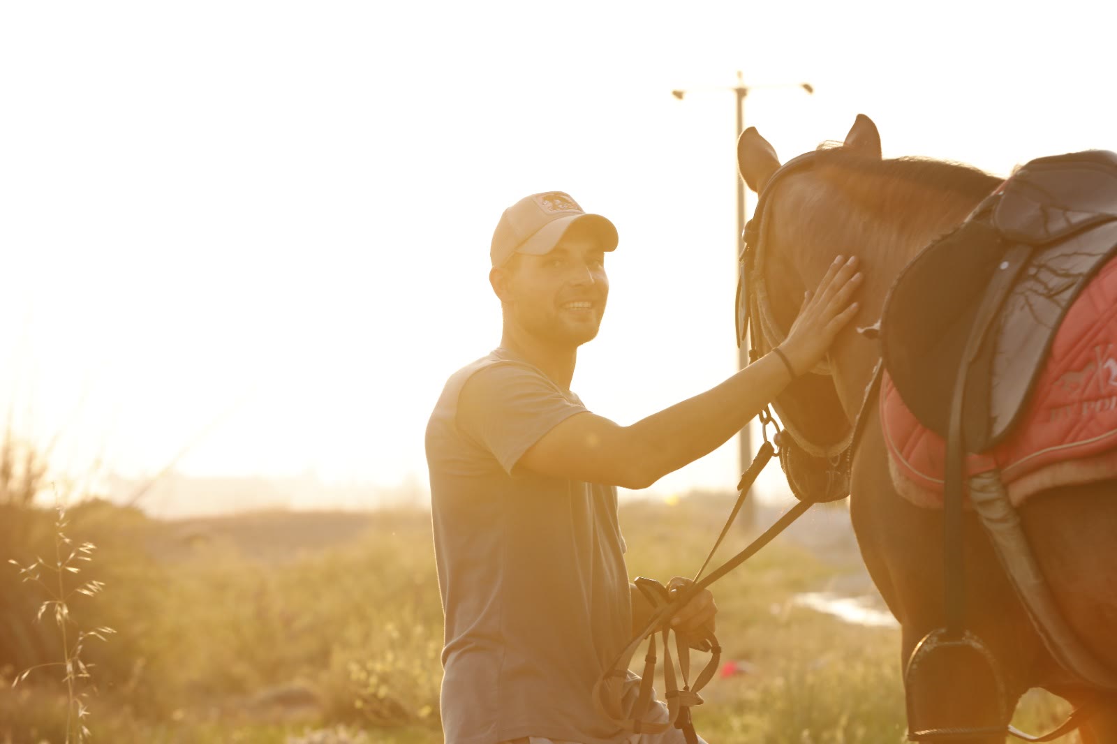 A rider and horse backlit by the sun