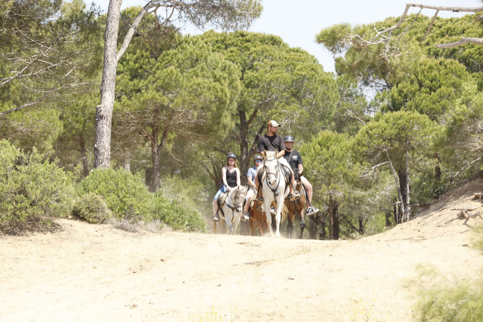 A group riding over the dunes