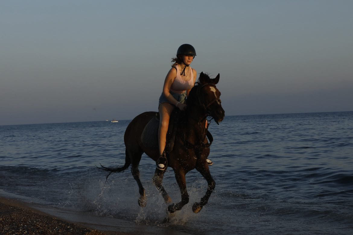 Galloping along the water at dusk