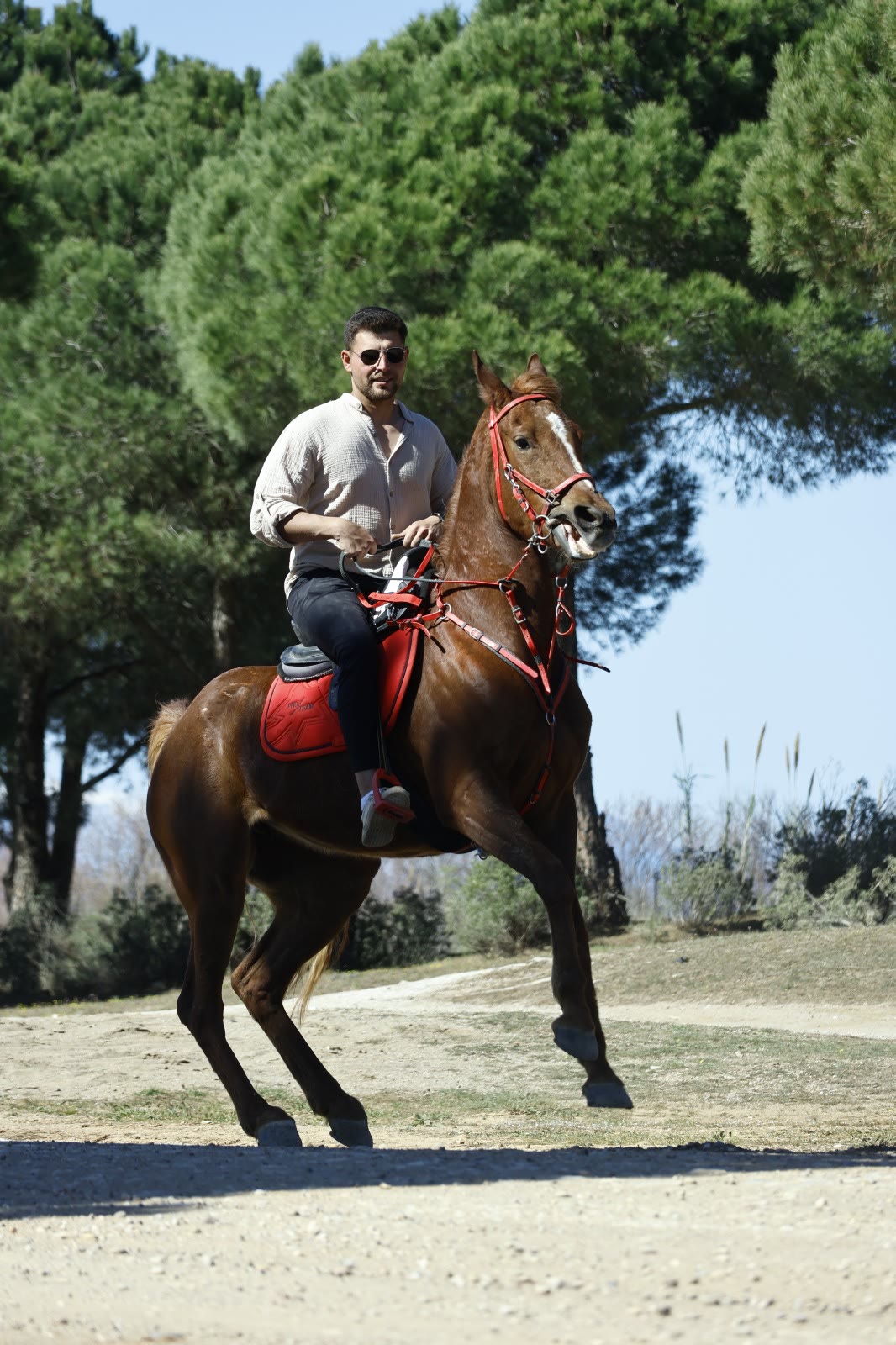 A rider cantering on a chestnut horse
